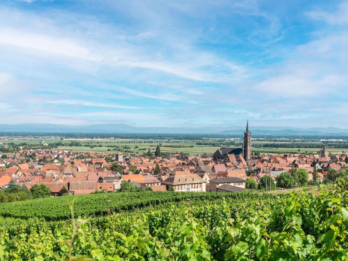Charming Gite In Dambach La Ville With Terrace エクステリア 写真
